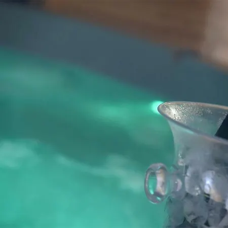Jacuzzi Sauna Piscine